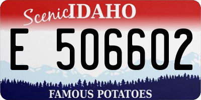 ID license plate E506602