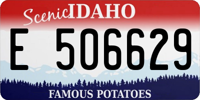 ID license plate E506629