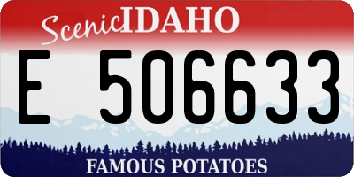 ID license plate E506633