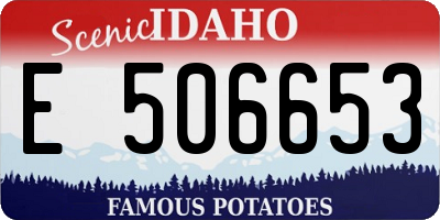 ID license plate E506653