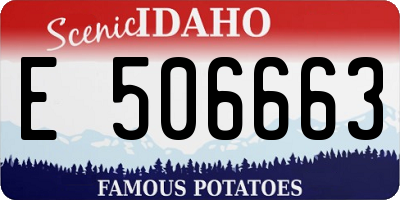 ID license plate E506663