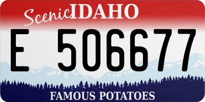 ID license plate E506677