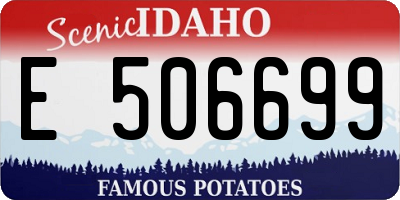 ID license plate E506699