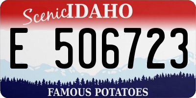 ID license plate E506723