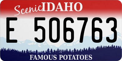 ID license plate E506763
