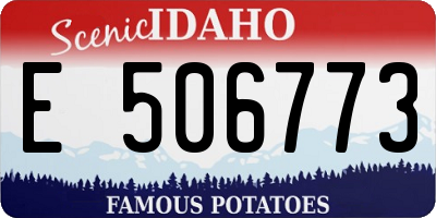 ID license plate E506773
