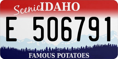 ID license plate E506791