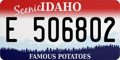 ID license plate E506802