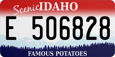 ID license plate E506828