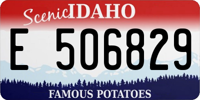 ID license plate E506829