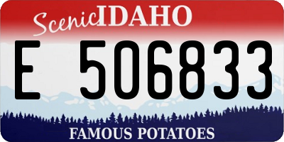ID license plate E506833