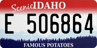 ID license plate E506864