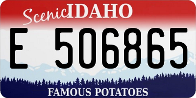 ID license plate E506865