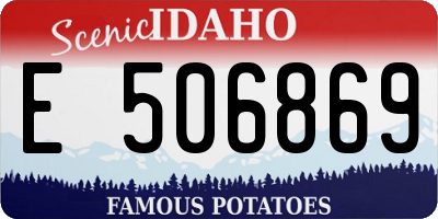 ID license plate E506869