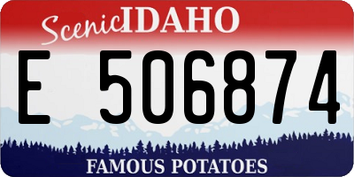 ID license plate E506874