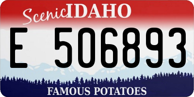 ID license plate E506893