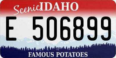ID license plate E506899