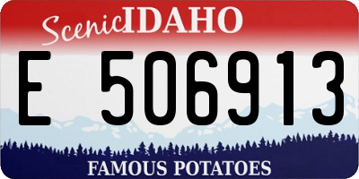 ID license plate E506913