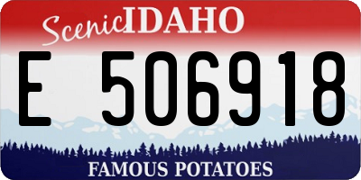 ID license plate E506918