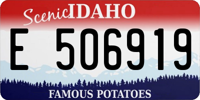 ID license plate E506919