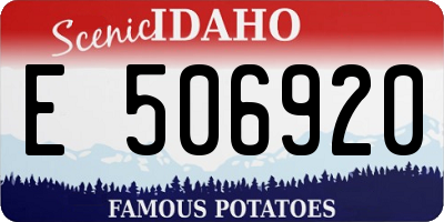 ID license plate E506920