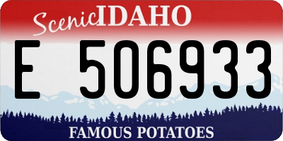 ID license plate E506933
