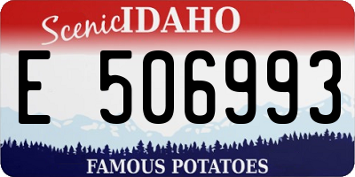 ID license plate E506993