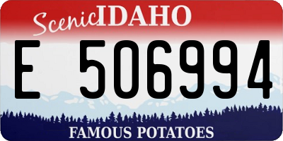 ID license plate E506994