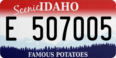 ID license plate E507005