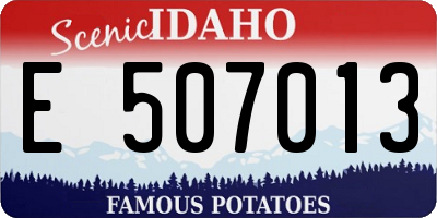 ID license plate E507013