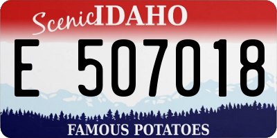ID license plate E507018