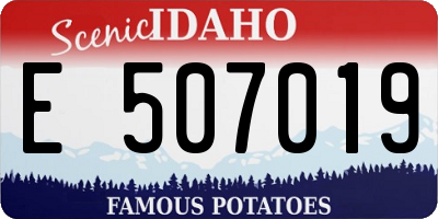 ID license plate E507019