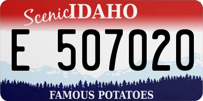 ID license plate E507020