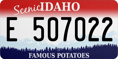 ID license plate E507022