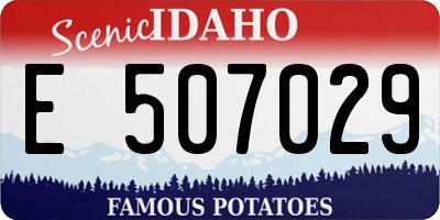 ID license plate E507029