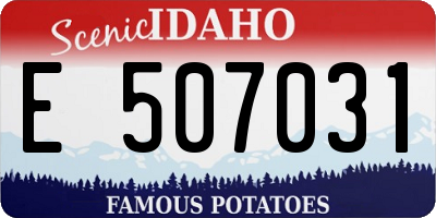 ID license plate E507031