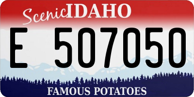 ID license plate E507050