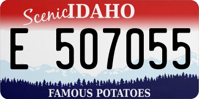 ID license plate E507055