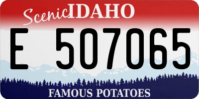 ID license plate E507065