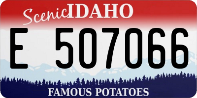 ID license plate E507066
