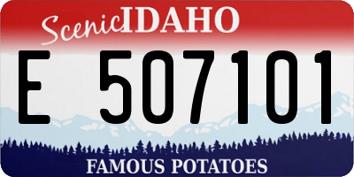 ID license plate E507101