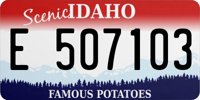 ID license plate E507103