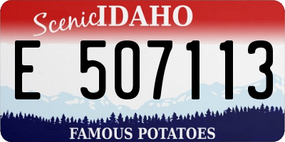 ID license plate E507113