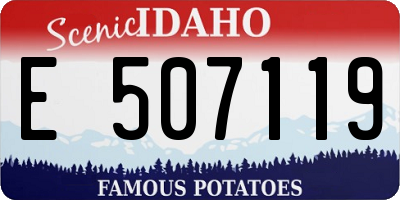 ID license plate E507119