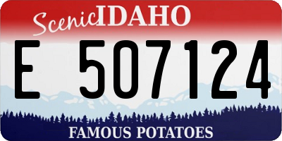 ID license plate E507124