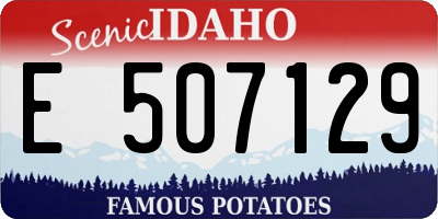 ID license plate E507129