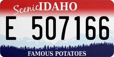ID license plate E507166