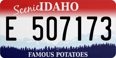 ID license plate E507173