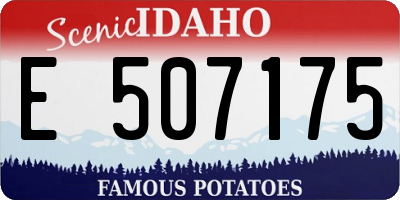 ID license plate E507175