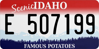 ID license plate E507199